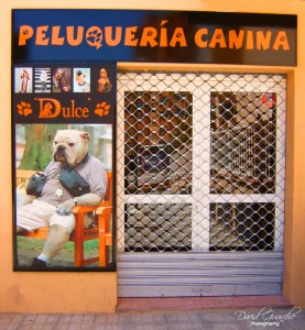 Cartel Peluqueria Canina Canaria
